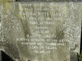 image of grave number 206529